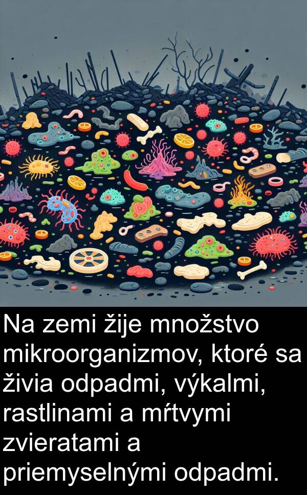 rastlinami: Na zemi žije množstvo mikroorganizmov, ktoré sa živia odpadmi, výkalmi, rastlinami a mŕtvymi zvieratami a priemyselnými odpadmi.