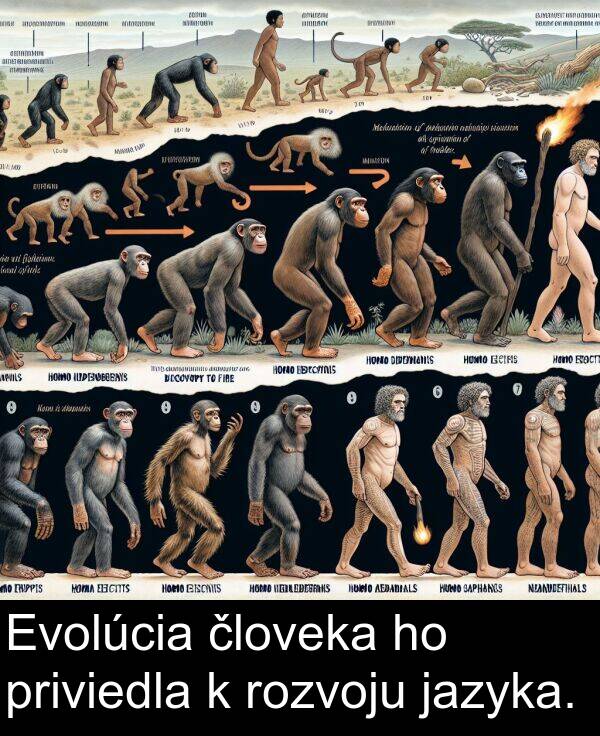 človeka: Evolúcia človeka ho priviedla k rozvoju jazyka.