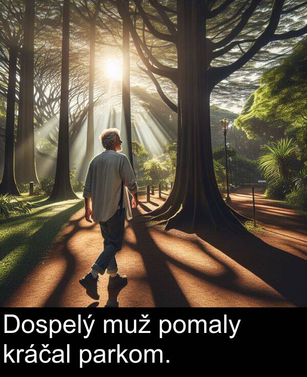 pomaly: Dospelý muž pomaly kráčal parkom.