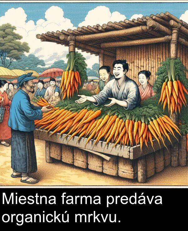 predáva: Miestna farma predáva organickú mrkvu.