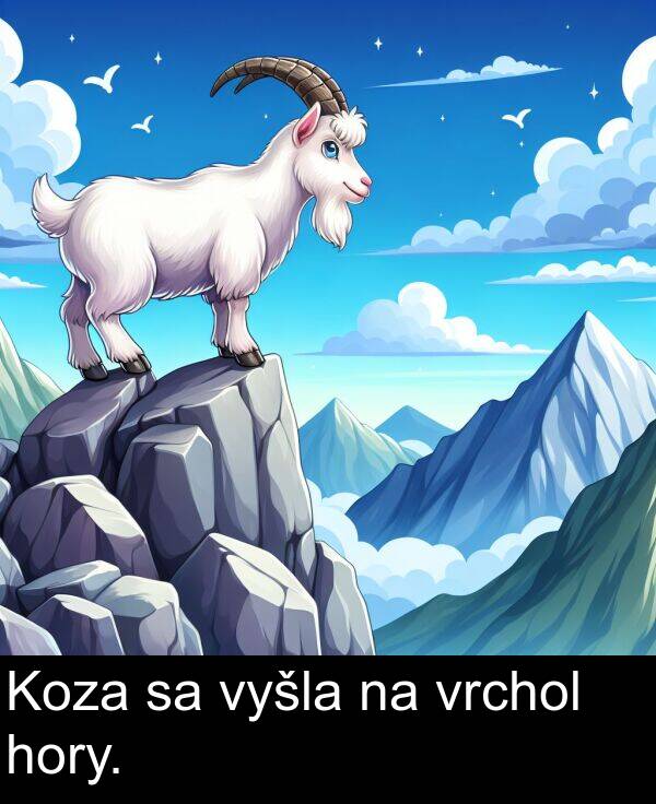 vrchol: Koza sa vyšla na vrchol hory.