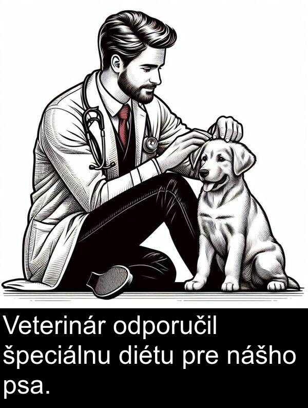 špeciálnu: Veterinár odporučil špeciálnu diétu pre nášho psa.