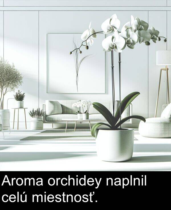 celú: Aroma orchidey naplnil celú miestnosť.