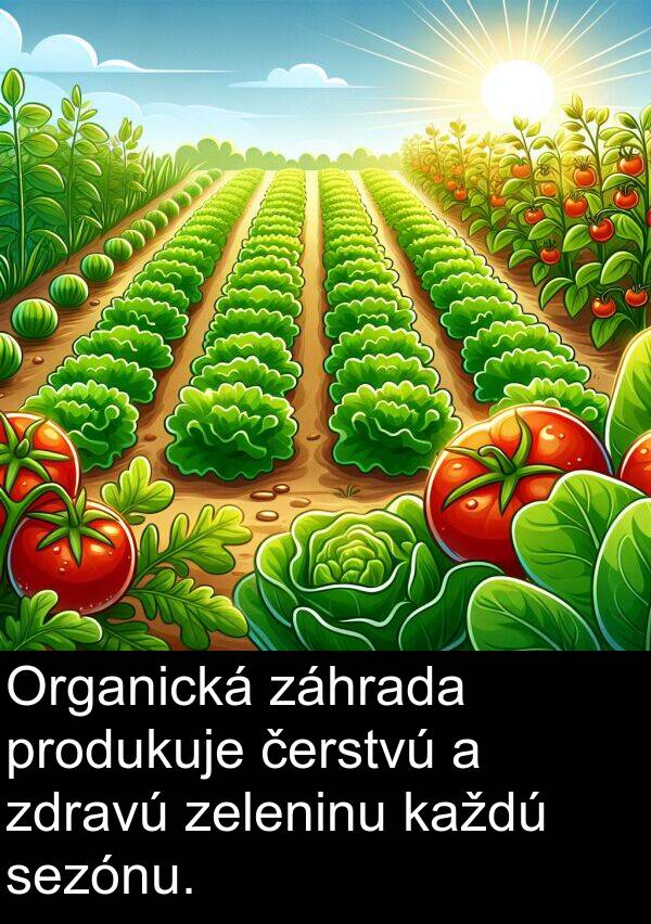 čerstvú: Organická záhrada produkuje čerstvú a zdravú zeleninu každú sezónu.