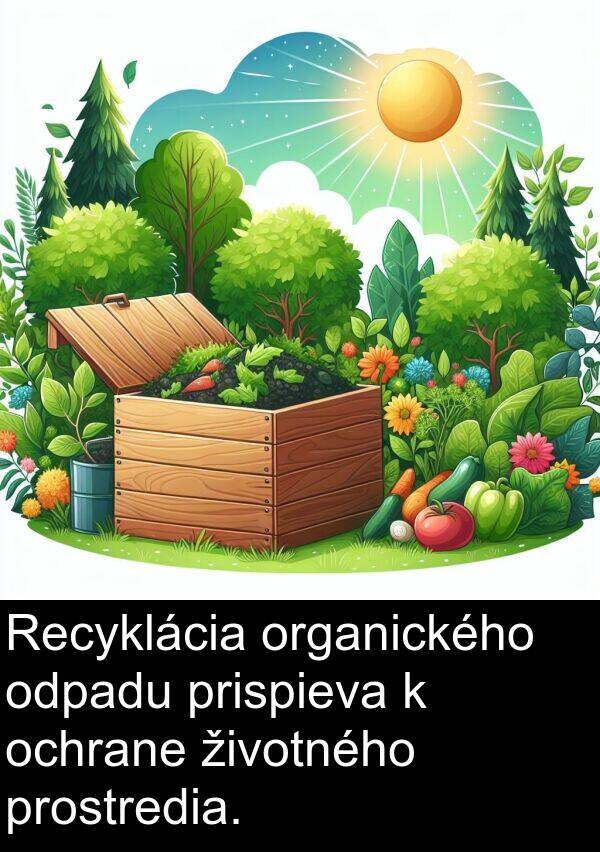 prostredia: Recyklácia organického odpadu prispieva k ochrane životného prostredia.