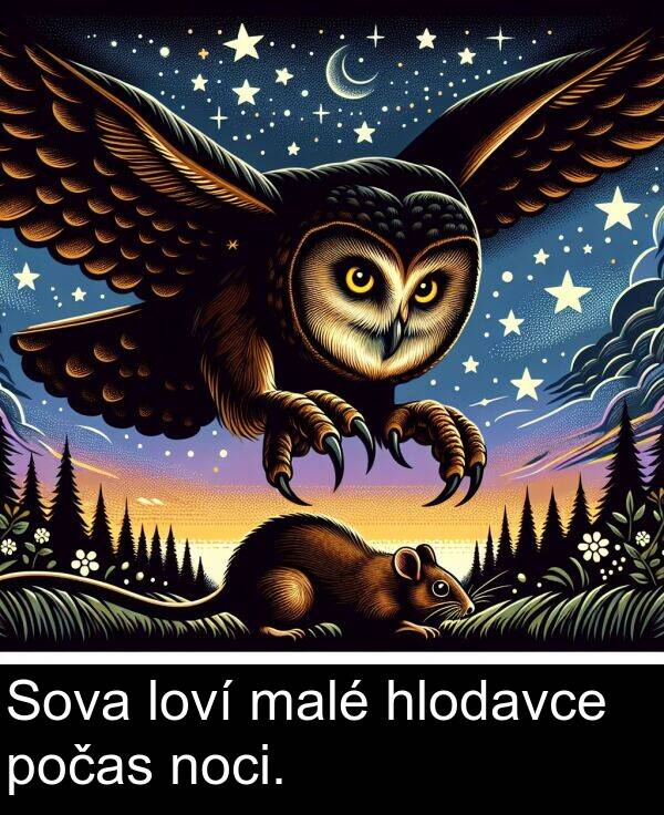 hlodavce: Sova loví malé hlodavce počas noci.