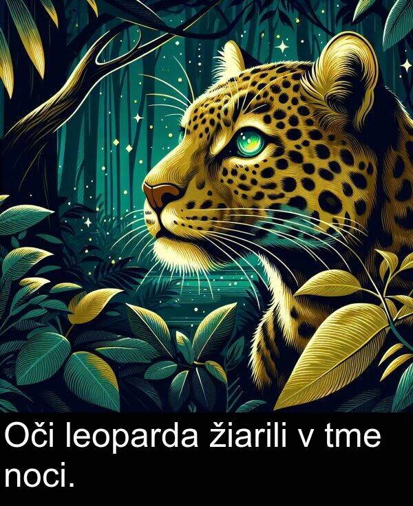 noci: Oči leoparda žiarili v tme noci.