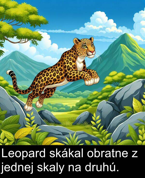 skaly: Leopard skákal obratne z jednej skaly na druhú.