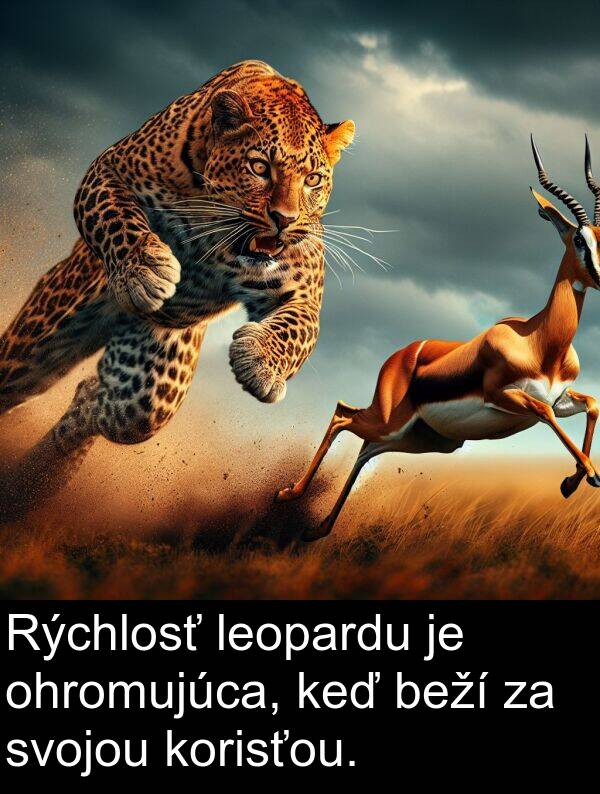 beží: Rýchlosť leopardu je ohromujúca, keď beží za svojou korisťou.