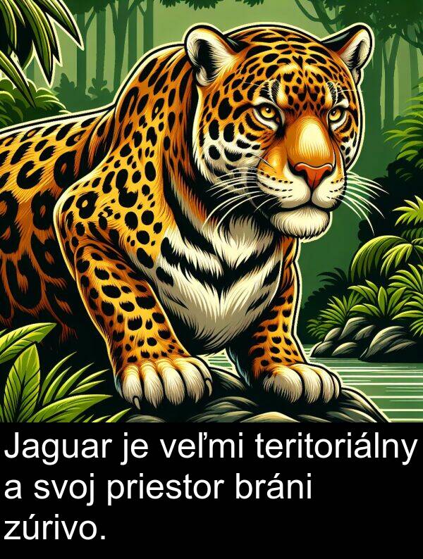 priestor: Jaguar je veľmi teritoriálny a svoj priestor bráni zúrivo.