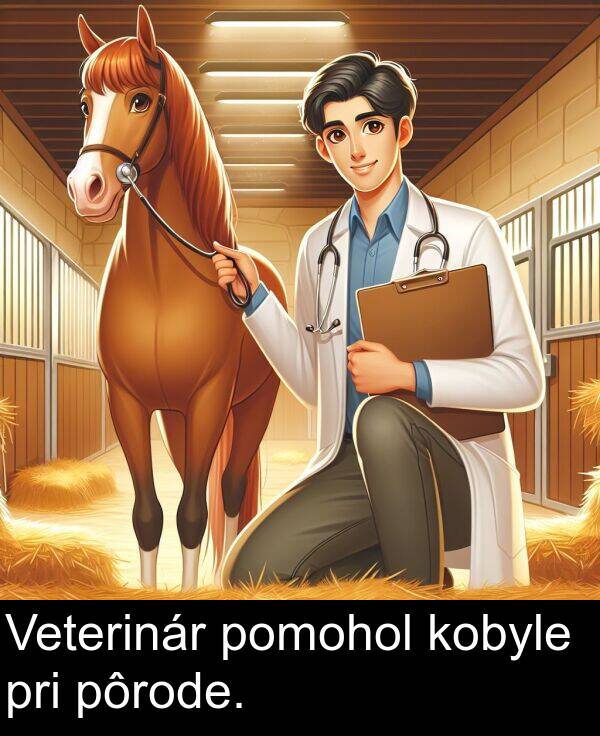 pomohol: Veterinár pomohol kobyle pri pôrode.