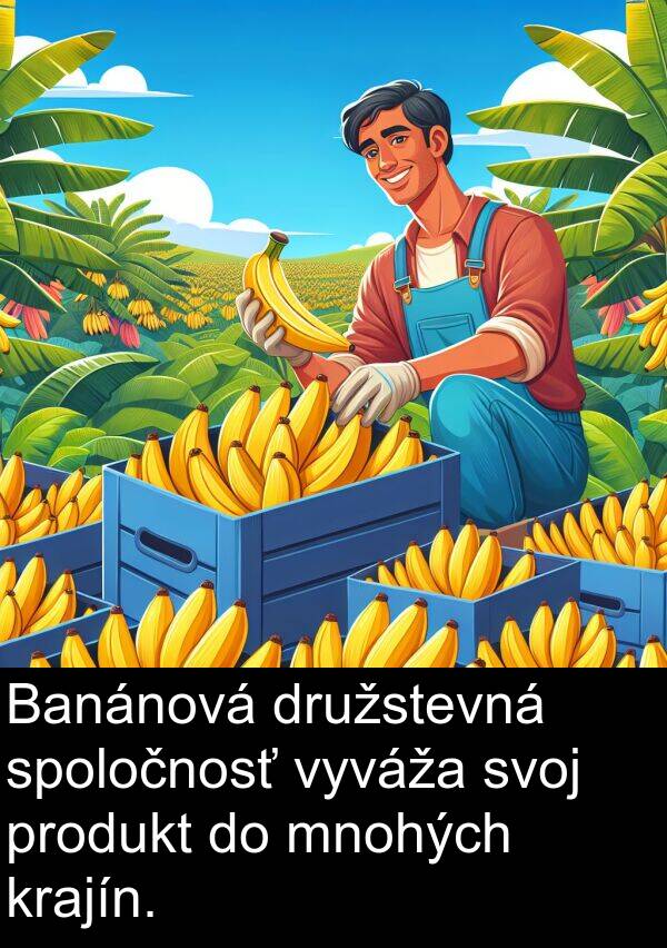 produkt: Banánová družstevná spoločnosť vyváža svoj produkt do mnohých krajín.