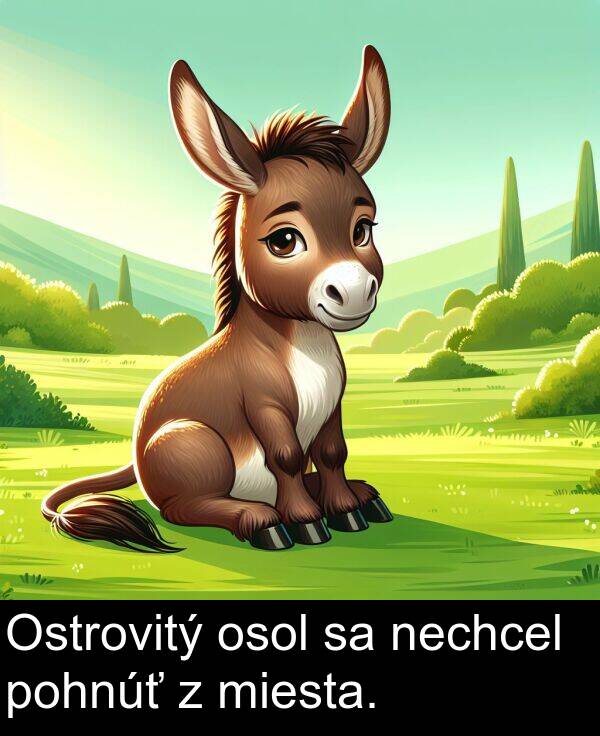 pohnúť: Ostrovitý osol sa nechcel pohnúť z miesta.