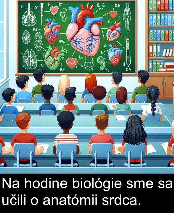 biológie: Na hodine biológie sme sa učili o anatómii srdca.