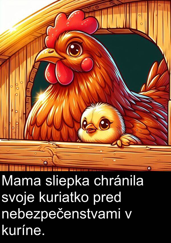 pred: Mama sliepka chránila svoje kuriatko pred nebezpečenstvami v kuríne.