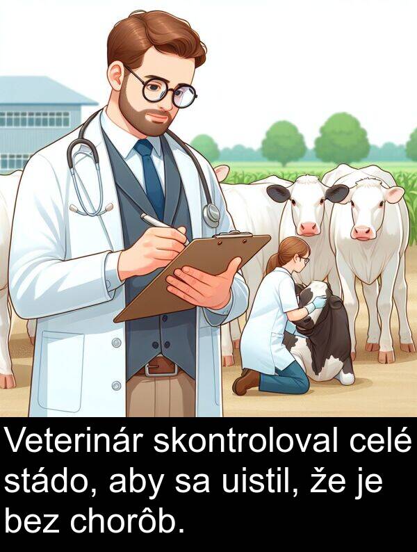 bez: Veterinár skontroloval celé stádo, aby sa uistil, že je bez chorôb.