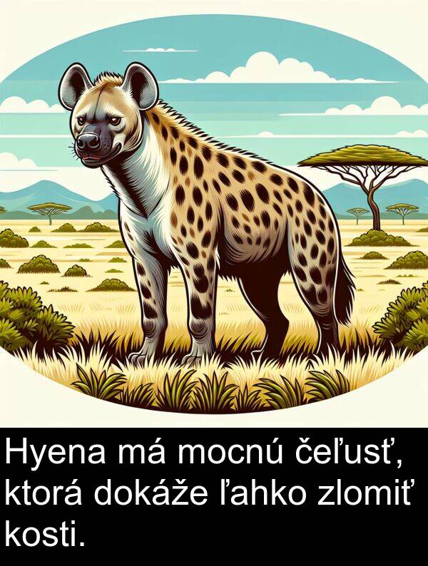 čeľusť: Hyena má mocnú čeľusť, ktorá dokáže ľahko zlomiť kosti.