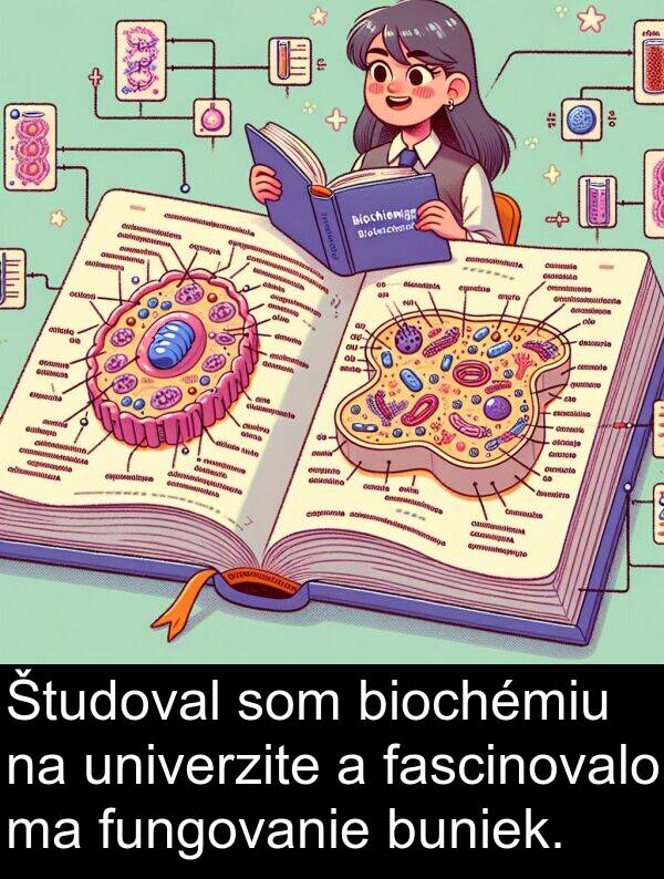 buniek: Študoval som biochémiu na univerzite a fascinovalo ma fungovanie buniek.