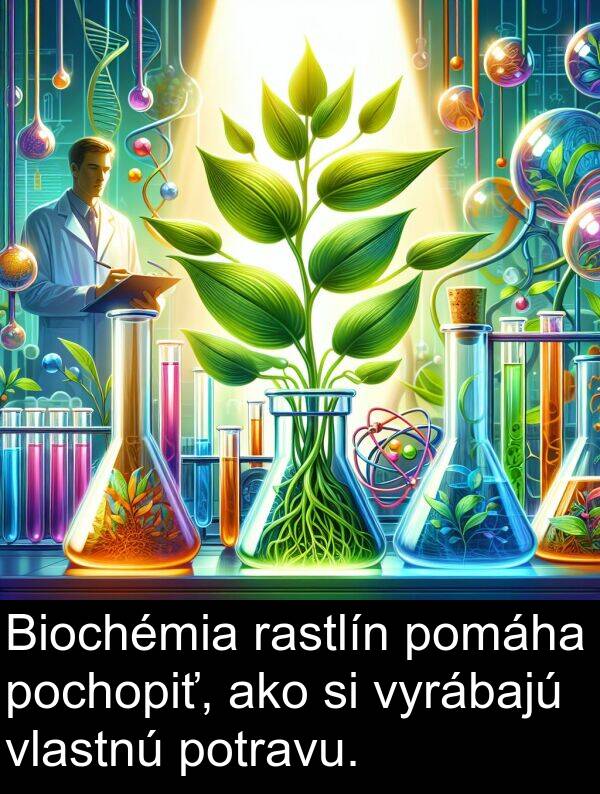 pomáha: Biochémia rastlín pomáha pochopiť, ako si vyrábajú vlastnú potravu.