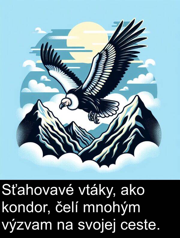 čelí: Sťahovavé vtáky, ako kondor, čelí mnohým výzvam na svojej ceste.