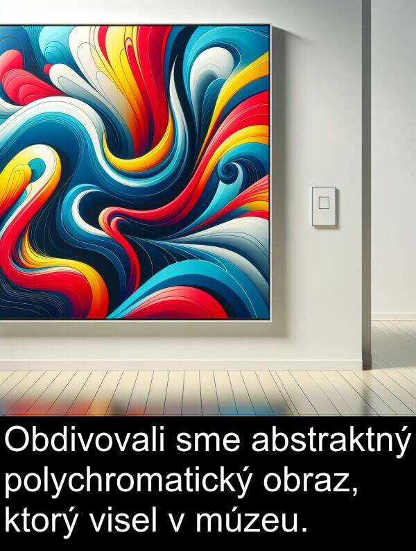 obraz: Obdivovali sme abstraktný polychromatický obraz, ktorý visel v múzeu.