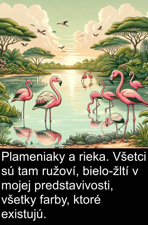 existujú: Plameniaky a rieka. Všetci sú tam ružoví, bielo-žltí v mojej predstavivosti, všetky farby, ktoré existujú.