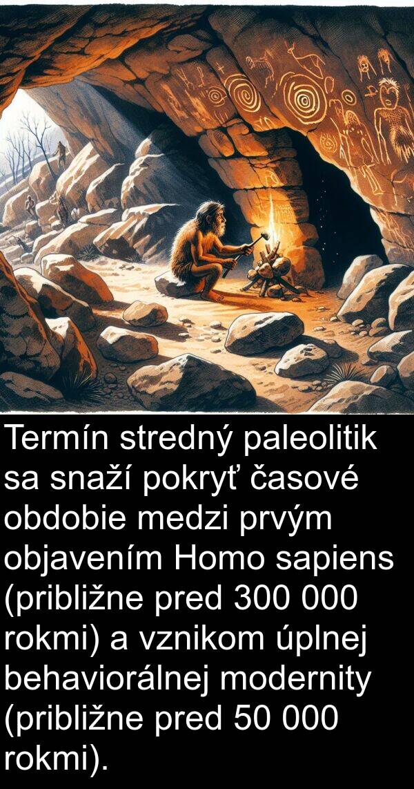 časové: Termín stredný paleolitik sa snaží pokryť časové obdobie medzi prvým objavením Homo sapiens (približne pred 300 000 rokmi) a vznikom úplnej behaviorálnej modernity (približne pred 50 000 rokmi).