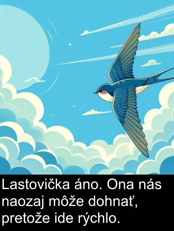 ide: Lastovička áno. Ona nás naozaj môže dohnať, pretože ide rýchlo.