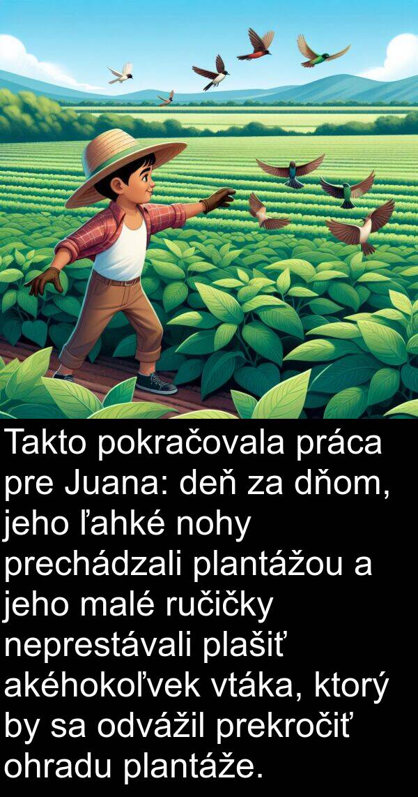 akéhokoľvek: Takto pokračovala práca pre Juana: deň za dňom, jeho ľahké nohy prechádzali plantážou a jeho malé ručičky neprestávali plašiť akéhokoľvek vtáka, ktorý by sa odvážil prekročiť ohradu plantáže.