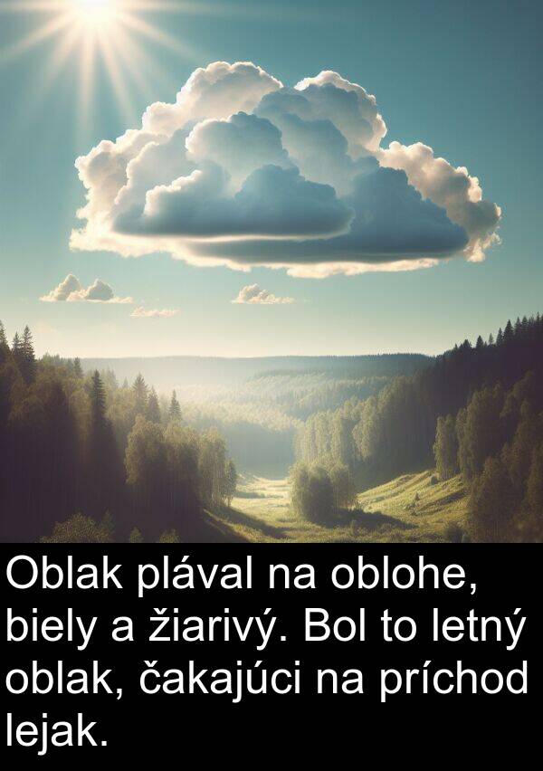 biely: Oblak plával na oblohe, biely a žiarivý. Bol to letný oblak, čakajúci na príchod lejak.