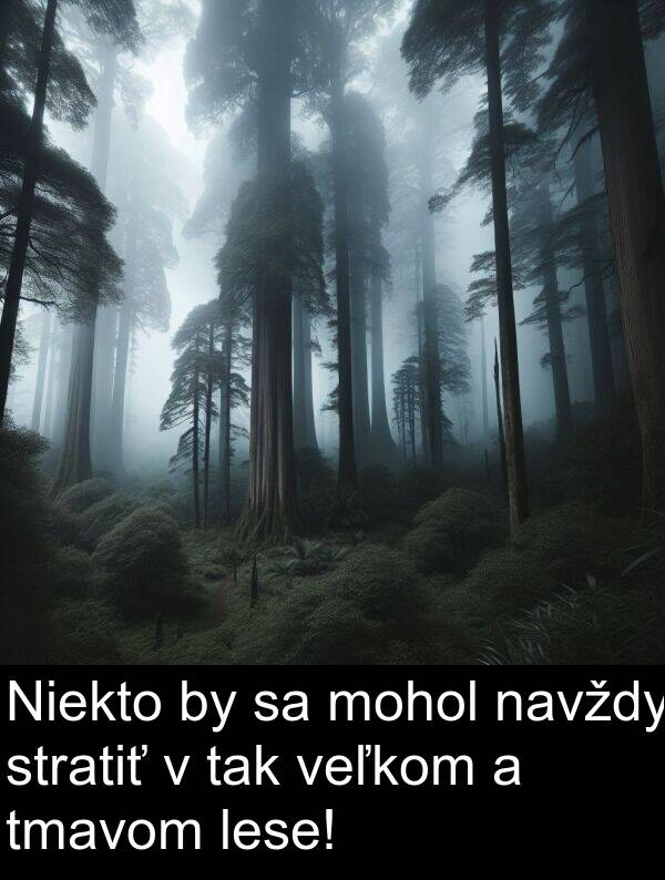 veľkom: Niekto by sa mohol navždy stratiť v tak veľkom a tmavom lese!