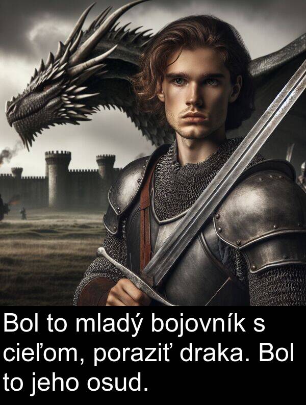 bojovník: Bol to mladý bojovník s cieľom, poraziť draka. Bol to jeho osud.