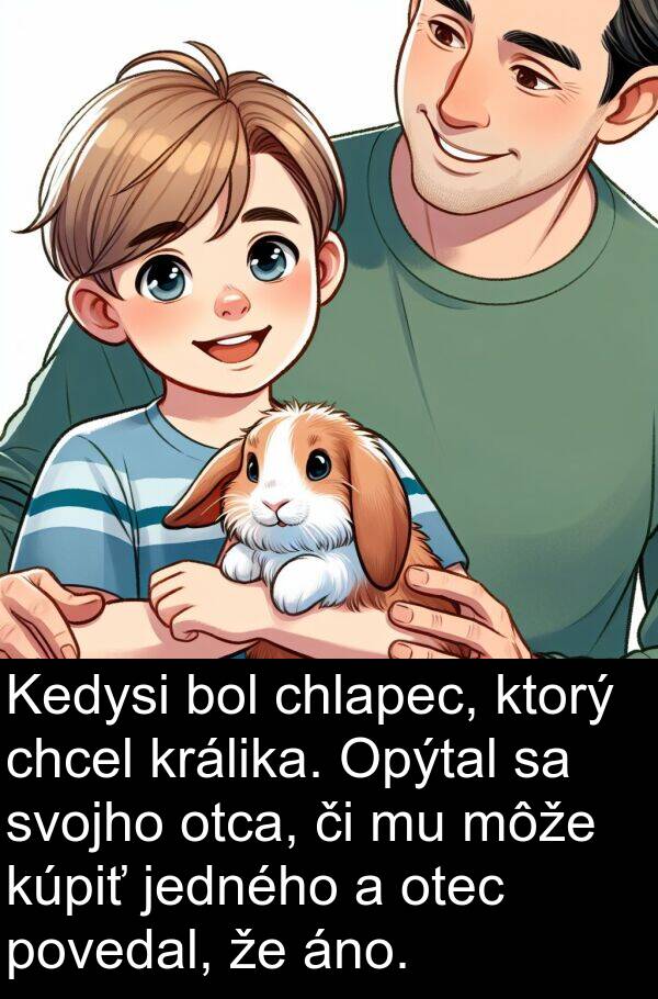 chcel: Kedysi bol chlapec, ktorý chcel králika. Opýtal sa svojho otca, či mu môže kúpiť jedného a otec povedal, že áno.