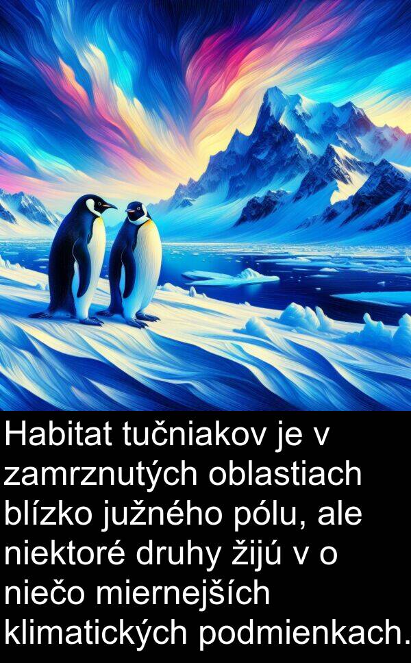 blízko: Habitat tučniakov je v zamrznutých oblastiach blízko južného pólu, ale niektoré druhy žijú v o niečo miernejších klimatických podmienkach.