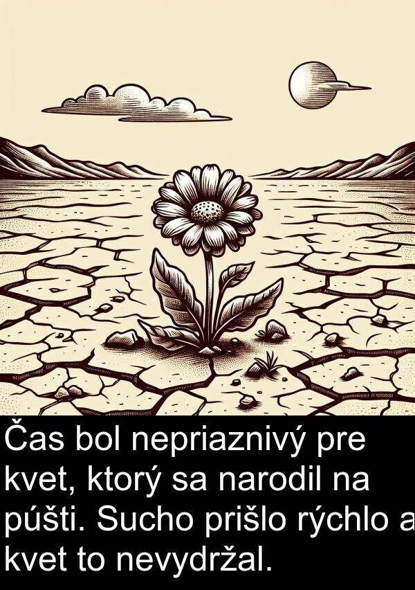 púšti: Čas bol nepriaznivý pre kvet, ktorý sa narodil na púšti. Sucho prišlo rýchlo a kvet to nevydržal.