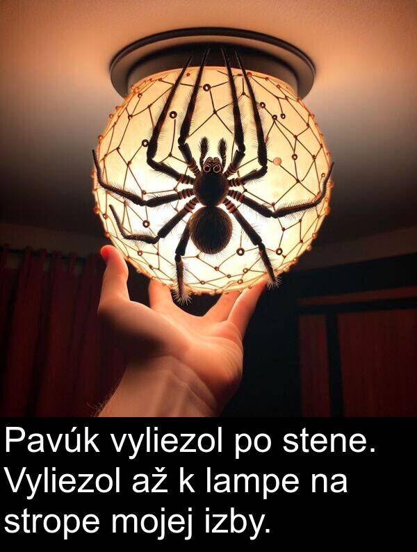 izby: Pavúk vyliezol po stene. Vyliezol až k lampe na strope mojej izby.