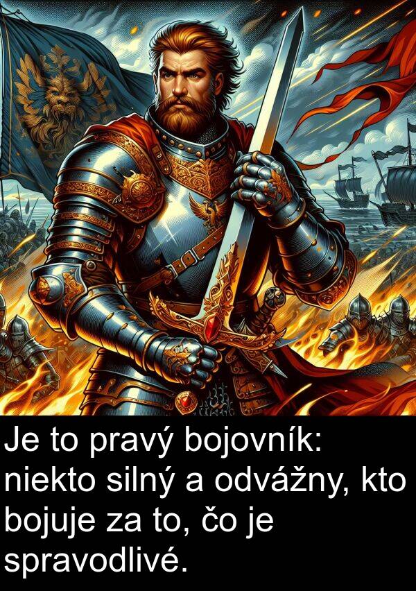 bojuje: Je to pravý bojovník: niekto silný a odvážny, kto bojuje za to, čo je spravodlivé.