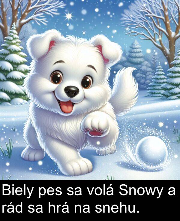 pes: Biely pes sa volá Snowy a rád sa hrá na snehu.