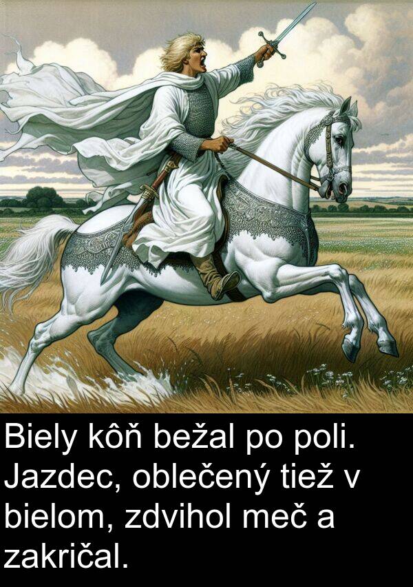 bežal: Biely kôň bežal po poli. Jazdec, oblečený tiež v bielom, zdvihol meč a zakričal.