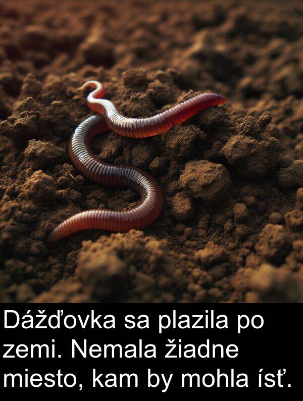 ísť: Dážďovka sa plazila po zemi. Nemala žiadne miesto, kam by mohla ísť.