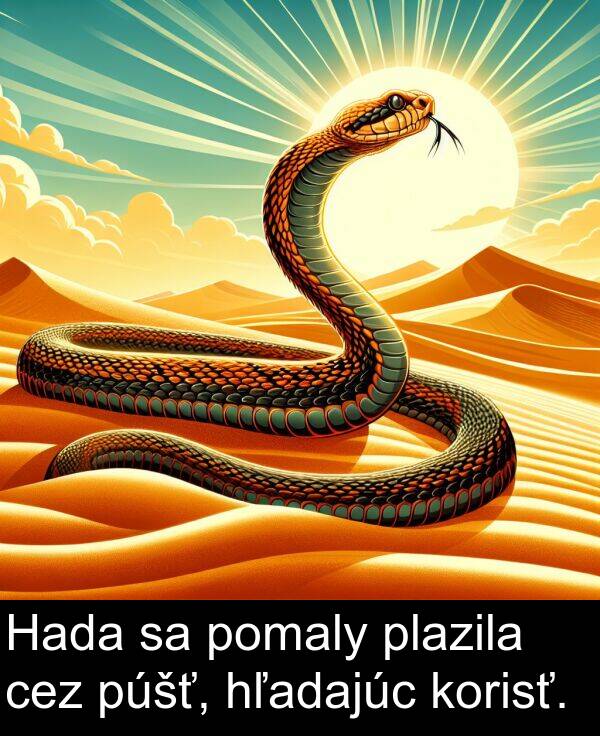 hľadajúc: Hada sa pomaly plazila cez púšť, hľadajúc korisť.