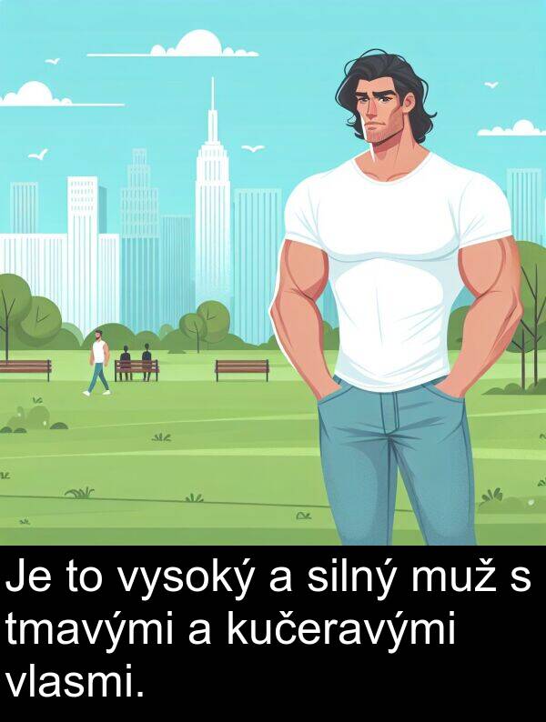 silný: Je to vysoký a silný muž s tmavými a kučeravými vlasmi.