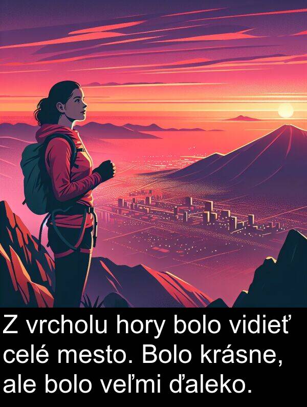 celé: Z vrcholu hory bolo vidieť celé mesto. Bolo krásne, ale bolo veľmi ďaleko.