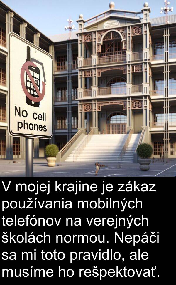 verejných: V mojej krajine je zákaz používania mobilných telefónov na verejných školách normou. Nepáči sa mi toto pravidlo, ale musíme ho rešpektovať.