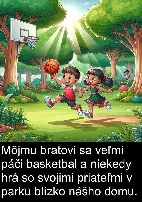 bratovi: Môjmu bratovi sa veľmi páči basketbal a niekedy hrá so svojimi priateľmi v parku blízko nášho domu.