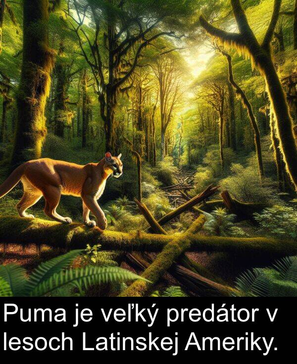 lesoch: Puma je veľký predátor v lesoch Latinskej Ameriky.