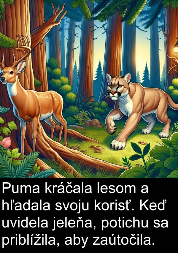 hľadala: Puma kráčala lesom a hľadala svoju korisť. Keď uvidela jeleňa, potichu sa priblížila, aby zaútočila.