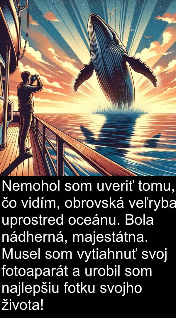 veľryba: Nemohol som uveriť tomu, čo vidím, obrovská veľryba uprostred oceánu. Bola nádherná, majestátna. Musel som vytiahnuť svoj fotoaparát a urobil som najlepšiu fotku svojho života!