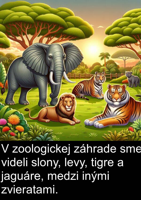 inými: V zoologickej záhrade sme videli slony, levy, tigre a jaguáre, medzi inými zvieratami.