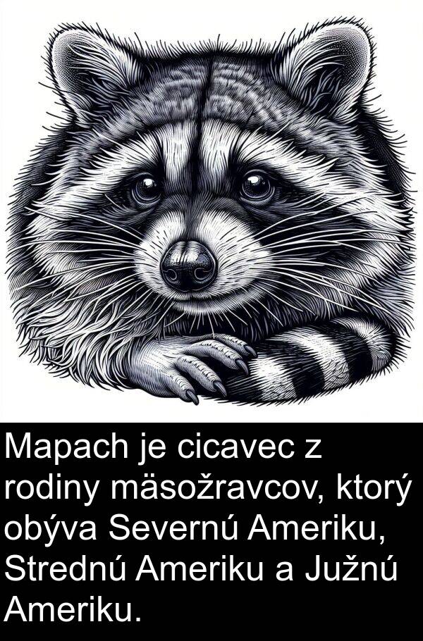 mäsožravcov: Mapach je cicavec z rodiny mäsožravcov, ktorý obýva Severnú Ameriku, Strednú Ameriku a Južnú Ameriku.